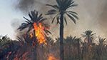 السيطرة على حريق اندلع بواحة توزر القديمة