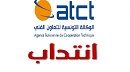 إنتداب 1493 تونسيا بالخارج في إطار التعاون الفني خلال السداسي الأول