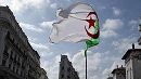 الانتخابات الجزائرية.. بدء فرز الأصوات والنتائج الرسمية الأحد