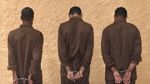 الجزائر: القبض على 4 إرهابيين