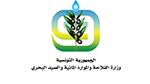 وزارة الفلاحة تخصّص خط تمويل لفائدة منتجي الحبوب لاقتناء مستلزمات الإنتاج للموسم 2024 /2025