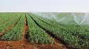 تراجع الاستثمارات الفلاحية الخاصة المصادق عليها