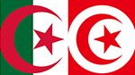 وزير الخارجية يؤدي زيارة عمل بيومين إلى الجزائر