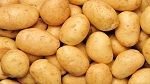 القصرين: ضبط تاجر خضر بصدد غسل 
