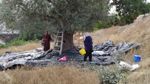 نابل : انطلاق موسم جني الزيتون وسط تقديرات بتجاوز الصابة 69 ألف طن ‎