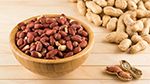 نابل: تحسّن صابة الكاكاوية خلال الموسم الحالي‎