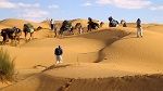 وزير السياحة يفتتح الصالون الدولي الأول للسياحة الواحية والصحراوية 