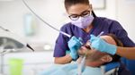 ظاهرة الهجرة في قطاع الصحة تطال أطباء الأسنان