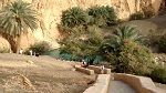 توزر: حركية سياحية مع حلول عطلة الشتاء