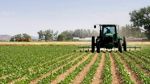 نابل: تطور الاستثمارات في القطاع الفلاحي ‎