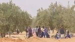 الحرس الوطني: أكثر من 20 ألف مھاجر غير نظامي بجھة العامرة 