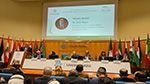 سمير ماجول: 'المنطقة العربية وايطاليا تواجهان اليوم تحديات معقّدة وغير مسبوقة'