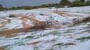 قفصة.. نزول البرَد بكميات كبيرة 