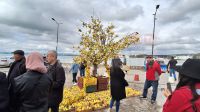 مهرجان القوارص بالحمامات في دورته الـ11
