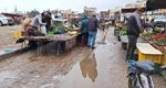 قفة التونسي دُون لحوم وأسماك تُقدّر ب 140دينار أُسبوعيا (فيديو) 