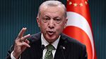 أردوغان: 'لن نرضخ لإرهاب الشارع'
