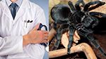 بيطري يكشف مخاطر  'عنكبوت' عثر عليه مواطن في غرفة نومه ! (فيديو)