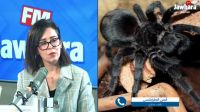 بيطري يكشف مخاطر 'عنكبوت' عثر عليه مواطن في غرفة نومه !