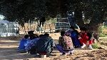 المنظمة الدولية للهجرة: نعمل بشكل وثيق مع الحكومة التونسية في مجال العودة الطوعية للمهاجرين