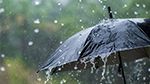بداية من ظهر الغد.. أمطار رعديّة تشمل هذه المناطق 