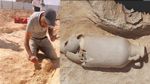 القصرين: اكتشاف أثري خلال القيام بأشغال لبناء مستشفى