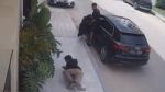 لاعب النجم أمين بن عمر يتعرض للعنف الشديد