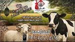 جمعية عشاق حمام سوسة: تواصل حملة المساعدات بمناسبة  عيد الاضحى