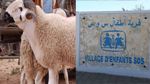 جمعية قرى الأطفال 