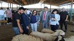 وفد من البرلمان يؤدّي زيارة إلى شركة اللحوم
