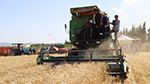 وزير الفلاحة يفتتح موسم الحصاد في زغوان