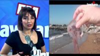 ظهور لافت ومبكر
