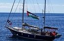 إشادة بقافلة الصمود.. ماليزيا تستعدّ لتجهيز ألف سفينة من جميع أنحاء العالم لكسر الحصار