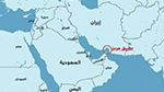 غازي معلّى: 'هذا ما سيحدث لو أغلقت إيران مضيق هرمز' (فيديو)