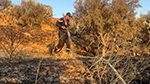 زغوان: حريق يأتي على 5 هكتارات بمنطقة جرادو