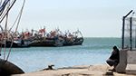 اتحاد الفلاحة: 'صُندوق الرّاحة البيولوجيّة يتحصّل سنويًّا على 14 مليار من إقتطاعات الفلاّحين' (فيديو)