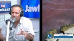 وزارة الصّحة: '71% من الشواطئ ذات نوعيّة حسنة.. و28 نقطة غير صالحة للسباحة'