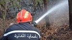 في 24 ساعة : الحماية المدنية تتدخّل لإطفاء  132 حريقا  