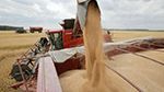 كميات الحبوب المجمّعة تتجاوز 11 مليون قنطار حتّى 17 جويلية 2025