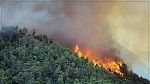 حريق جبل منصور يصل إلى غابات الفحص‎