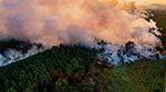 إسبانيا تجلي أكثر من ألف شخص جرّاء اتساع حرائق الغابات