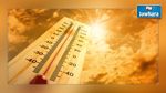  تواصل ارتفاع درجات الحرارة مع ظهور الشهيلي