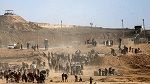 قطر تعلن تسليم الخطّة الأميركية لحماس وتتحدّث عن مفاوضات مكثّفة