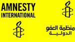 منظمة العفو الدولية: أي مقترح للسلام يجب أن يقوم على احترام حقوق الإنسان وإنهاء الاحتـ.لال 