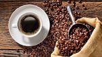 مستثمر في مجال القهوة يطلق نداء عاجلا لتحرير القطاع