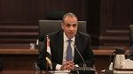 وزير الخارجية المصري في تونس 