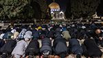 نحو 100 ألف مصلّ أدّوا صلاتيْ العشاء والتراويح بالأقصى
