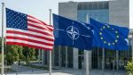 'البنتاغون' يبحث خيارات لمعاقبة دول في الناتو بسبب موقفهم من حرب إيران