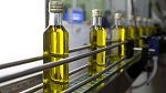 ارتفاع صادرات زيت الزيتون المعلّب بنسبة 69 %