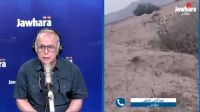 أفعى عملاقة تُثير الذعر في سيدي بوزيد: التفاصيل