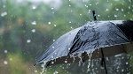 أمطار متفرقة في هذه المناطق